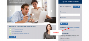 indigo card services login