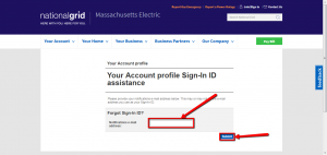 national grid login bill pay