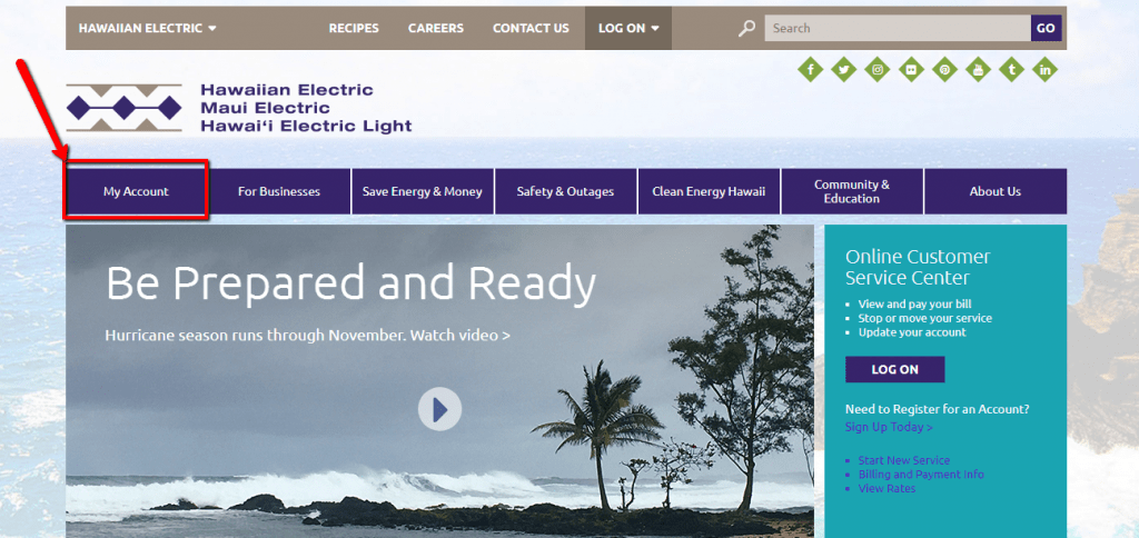 Hawaiian Electric Online Bill Pay Login CC Bank