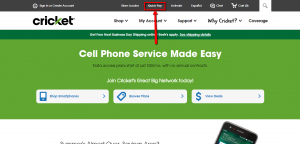 quick pay cricket phone bill with checking account