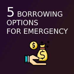 5 Borrowing Options