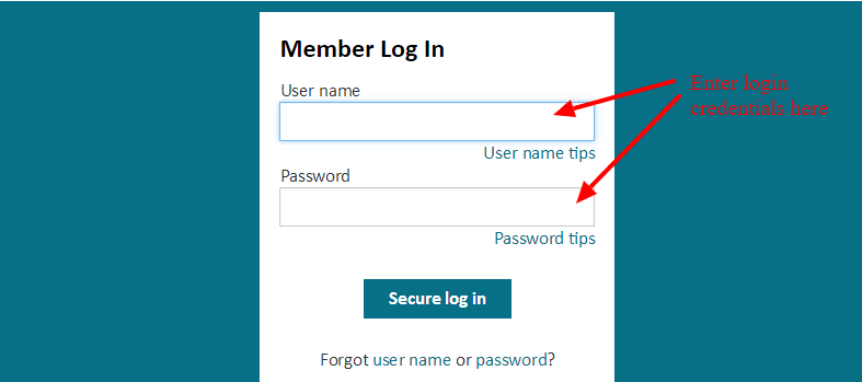 Aetna Member Login