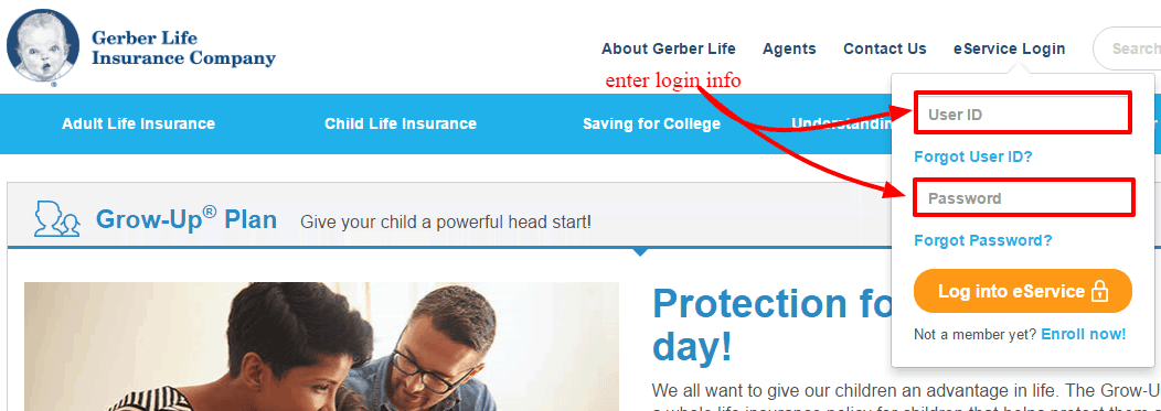 Gerber insurance login