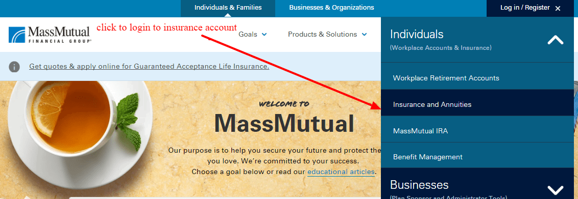 Mass Mutual Insurance login