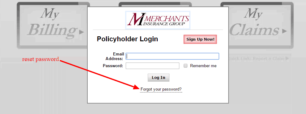 Merchants reset password