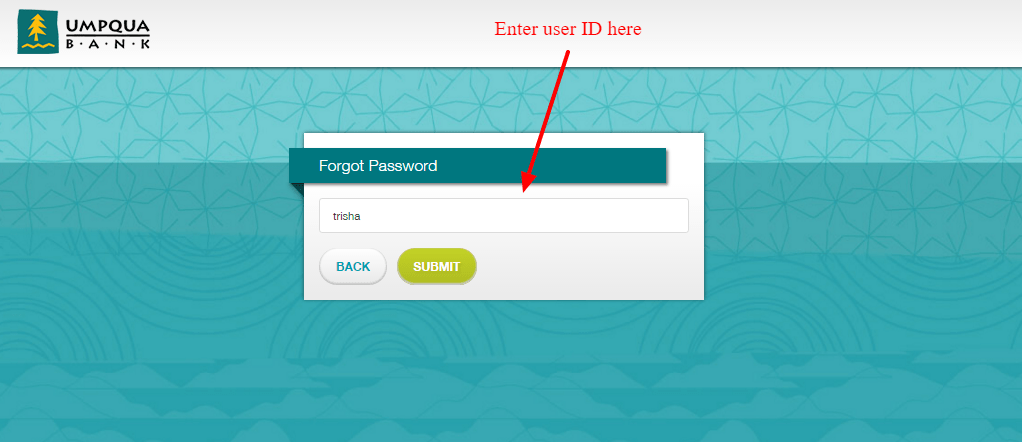 Umpqua-Digital-Banking-Reset-Password.