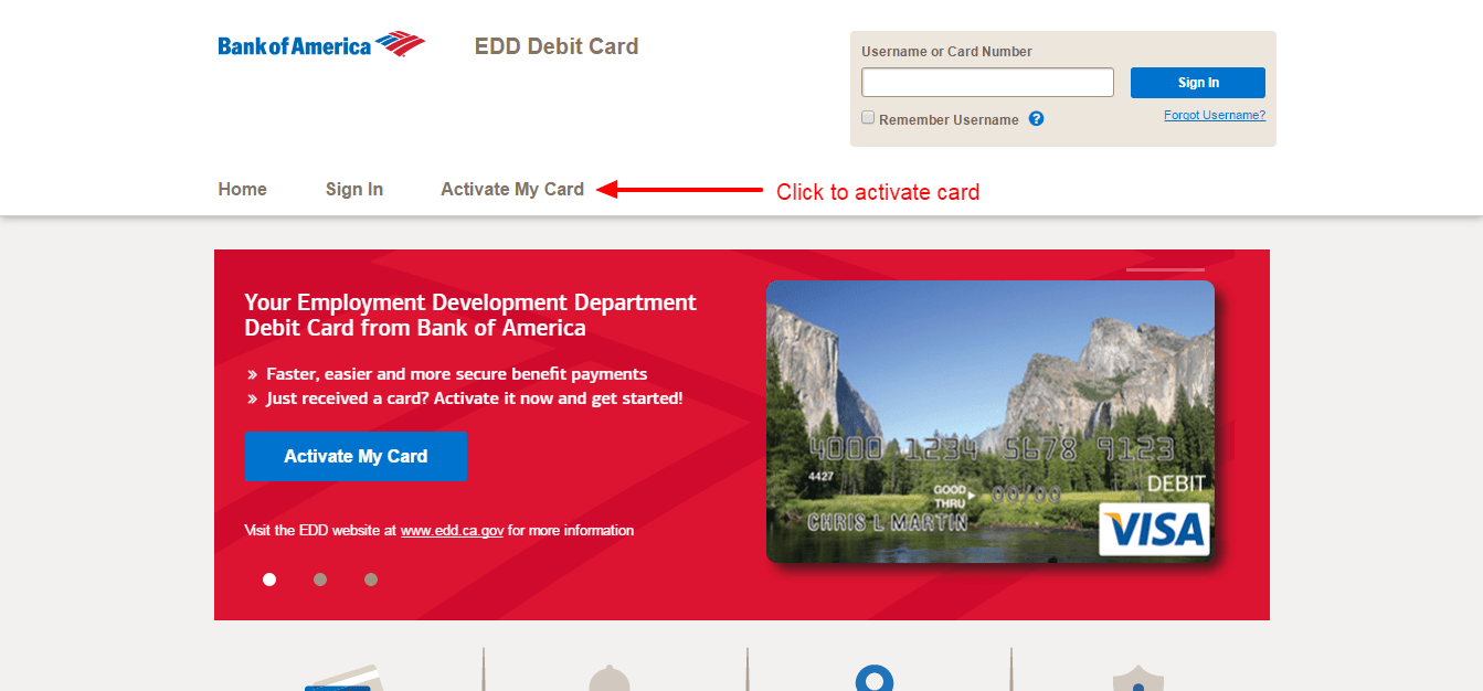 bank of america debit card online