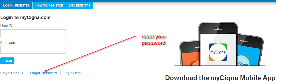 reset your password